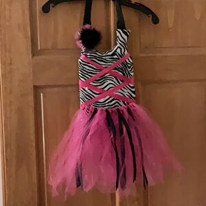 Pink Zebra Tutu Costume Decoration